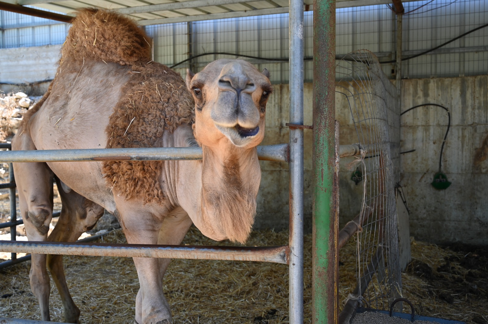 WhatsApp Image 2022-06-30 at 10.41.47 PM.jpeg